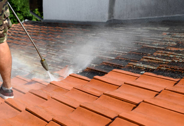 Best Garage Pressure Washing  in Litchfield, MI