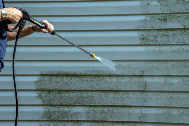 Best Affordable Power Washing  in Litchfield, MI