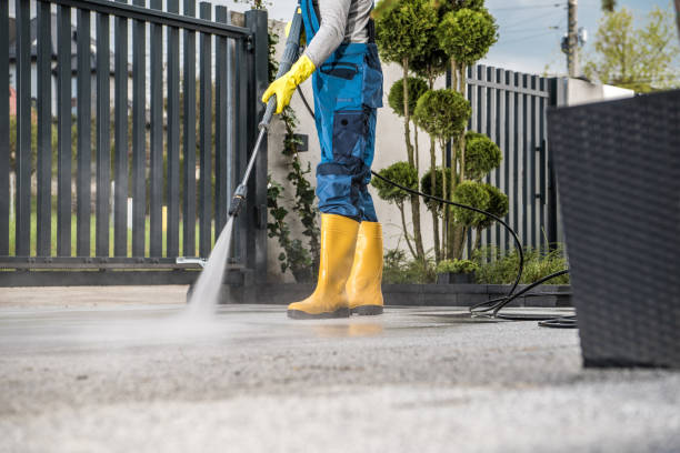 Best Local Pressure Washing Services  in Litchfield, MI