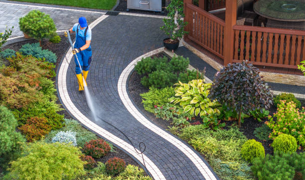 Best Deck Cleaning Services  in Litchfield, MI